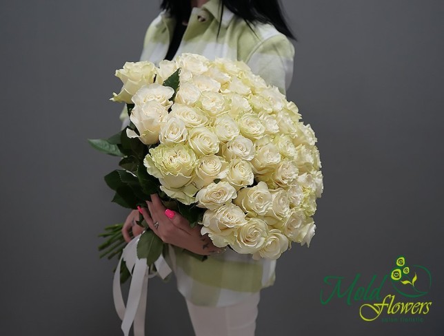 Trandafir alb Olanda 50 cm foto